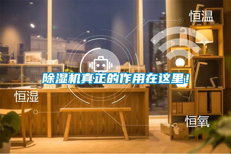 除濕機(jī)真正的作用在這里！