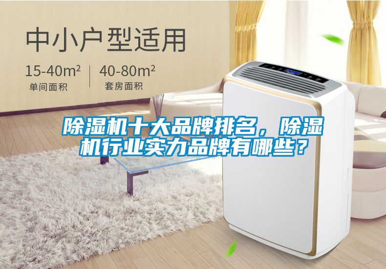 除濕機十大品牌排名，除濕機行業(yè)實力品牌有哪些？