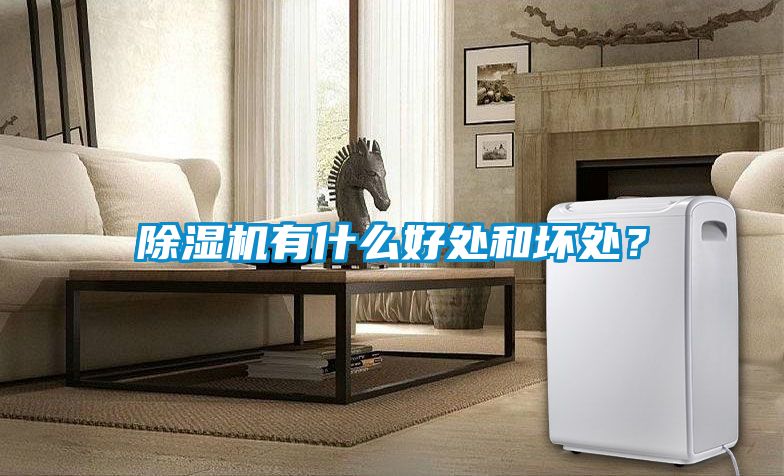 除濕機(jī)有什么好處和壞處？