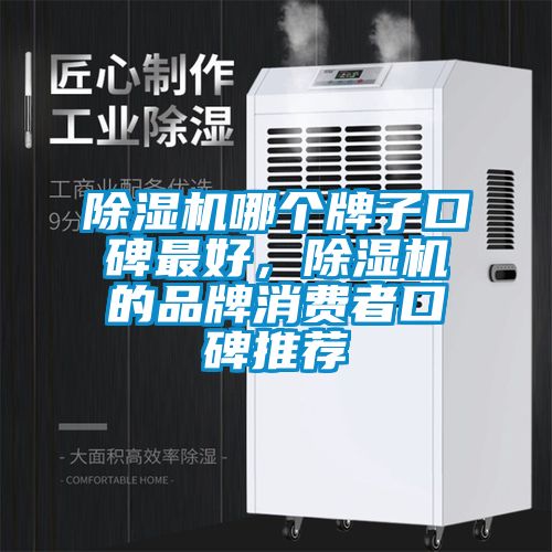 除濕機哪個牌子口碑最好，除濕機的品牌消費者口碑推薦