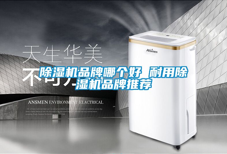 除濕機(jī)品牌哪個好 耐用除濕機(jī)品牌推薦
