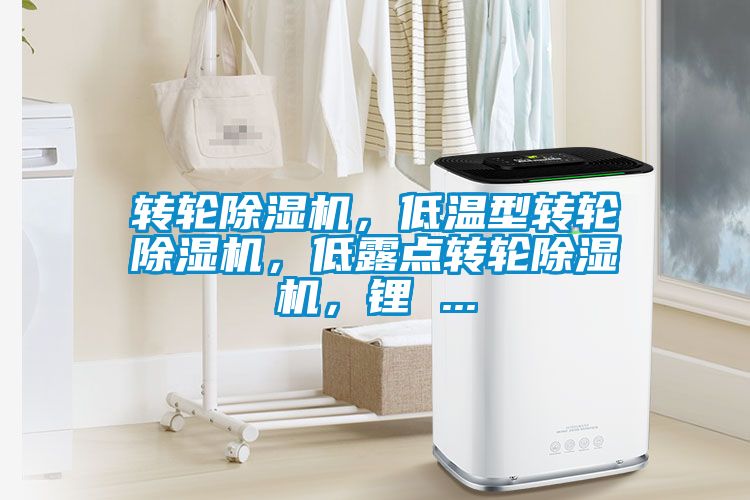 轉(zhuǎn)輪除濕機，低溫型轉(zhuǎn)輪除濕機，低露點轉(zhuǎn)輪除濕機，鋰 ...