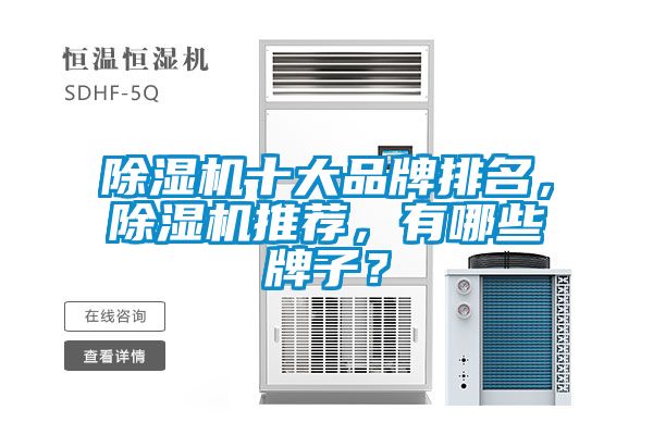 除濕機十大品牌排名，除濕機推薦，有哪些牌子？