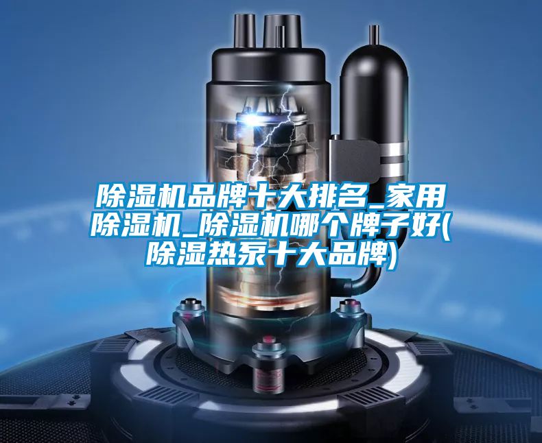 除濕機(jī)品牌十大排名_家用除濕機(jī)_除濕機(jī)哪個牌子好(除濕熱泵十大品牌)