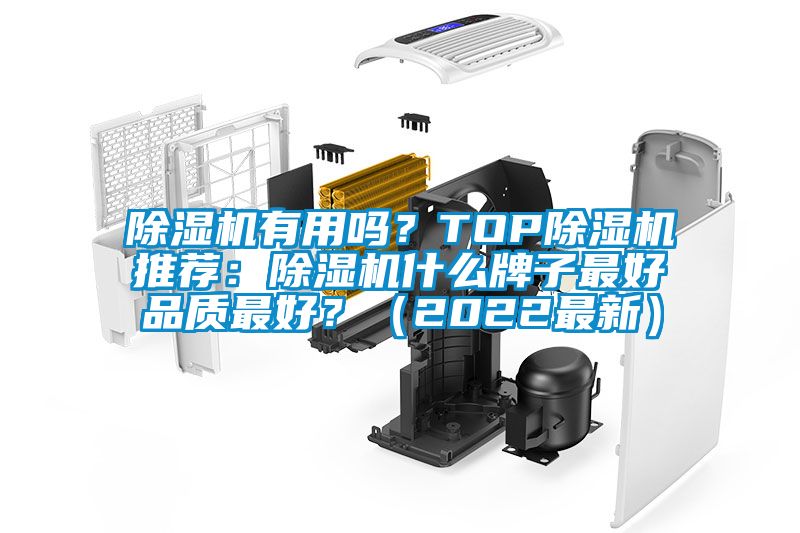 除濕機(jī)有用嗎？TOP除濕機(jī)推薦：除濕機(jī)什么牌子最好品質(zhì)最好？（2022最新）