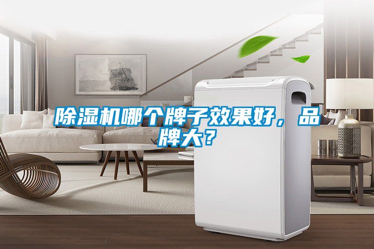 除濕機(jī)哪個(gè)牌子效果好，品牌大？