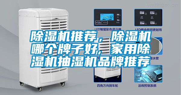 除濕機(jī)推薦，除濕機(jī)哪個牌子好, 家用除濕機(jī)抽濕機(jī)品牌推薦