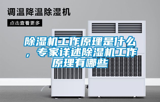 除濕機(jī)工作原理是什么，專家詳述除濕機(jī)工作原理有哪些