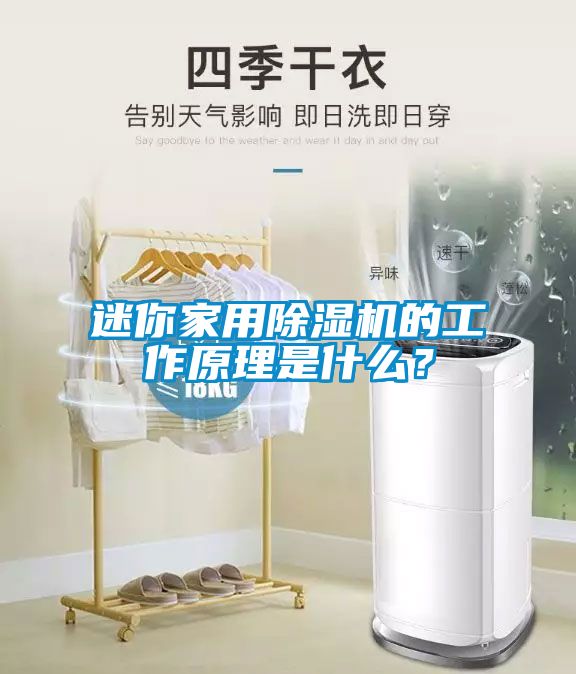 迷你家用除濕機的工作原理是什么？