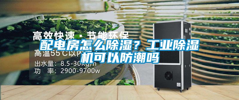 配電房怎么除濕？工業(yè)除濕機(jī)可以防潮嗎
