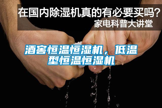 酒窖恒溫恒濕機(jī)，低溫型恒溫恒濕機(jī)