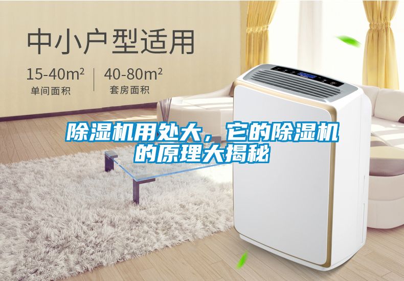 除濕機(jī)用處大，它的除濕機(jī)的原理大揭秘
