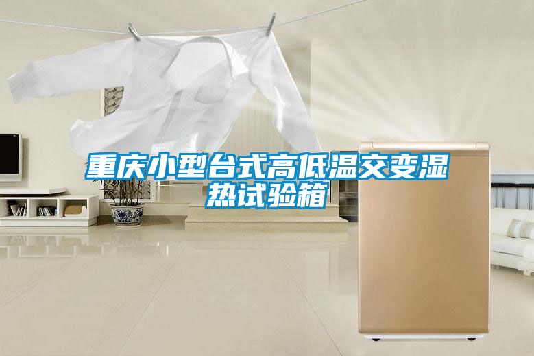 重慶小型臺式高低溫交變濕熱試驗(yàn)箱