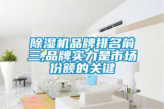 除濕機(jī)品牌排名前三,品牌實力是市場份額的關(guān)鍵