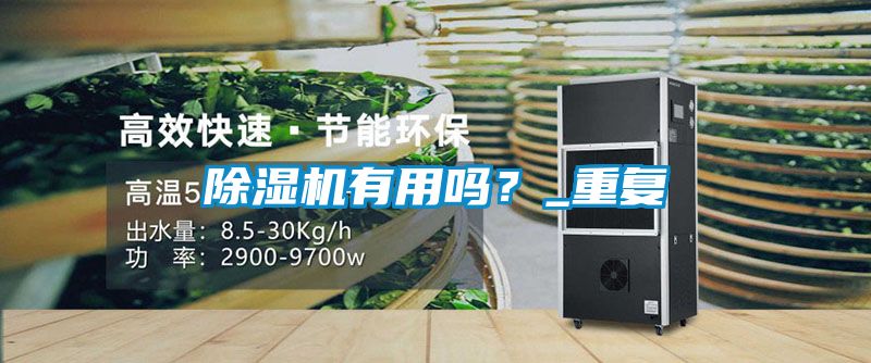 除濕機(jī)有用嗎？_重復(fù)