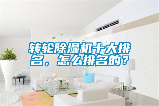 轉(zhuǎn)輪除濕機(jī)十大排名，怎么排名的？