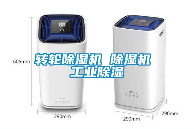 轉輪除濕機 除濕機 工業(yè)除濕