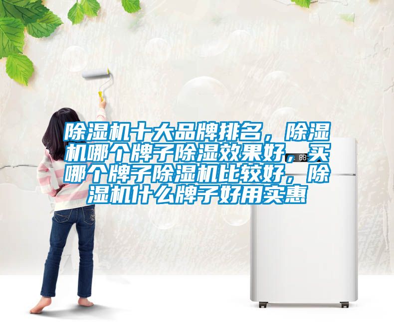 除濕機(jī)十大品牌排名，除濕機(jī)哪個(gè)牌子除濕效果好，買哪個(gè)牌子除濕機(jī)比較好，除濕機(jī)什么牌子好用實(shí)惠