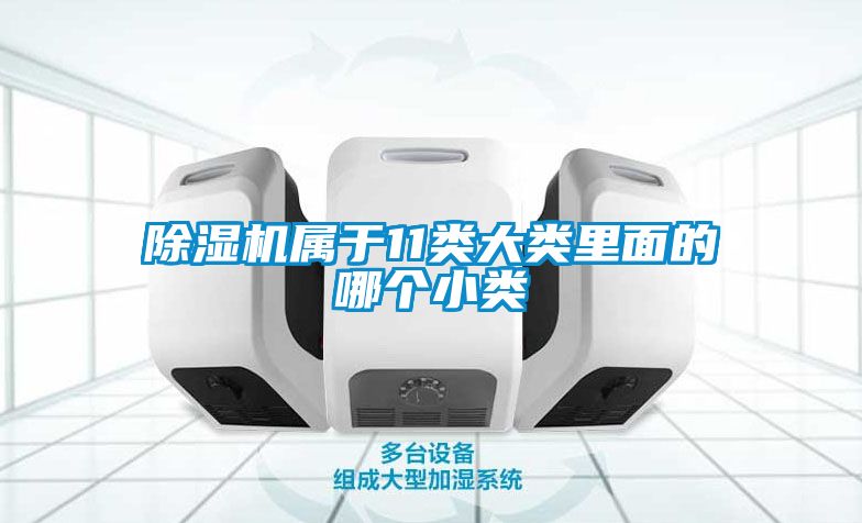 除濕機(jī)屬于11類(lèi)大類(lèi)里面的哪個(gè)小類(lèi)