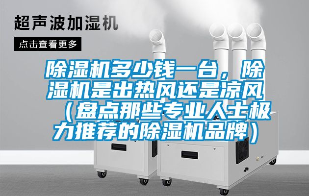 除濕機(jī)多少錢一臺，除濕機(jī)是出熱風(fēng)還是涼風(fēng)（盤點(diǎn)那些專業(yè)人士極力推薦的除濕機(jī)品牌）