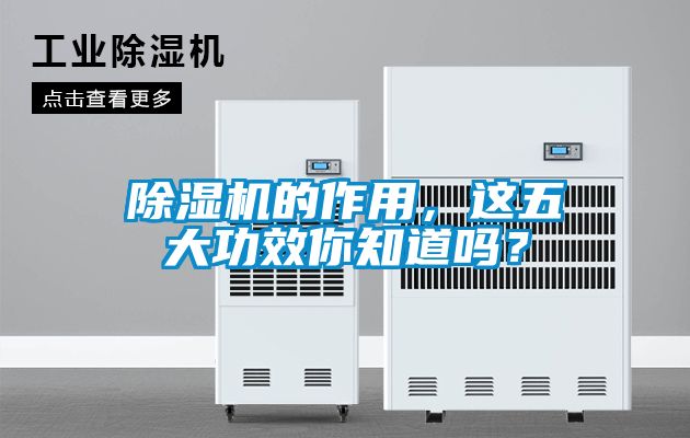 除濕機(jī)的作用，這五大功效你知道嗎？