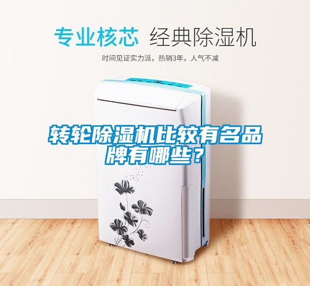 轉(zhuǎn)輪除濕機(jī)比較有名品牌有哪些？