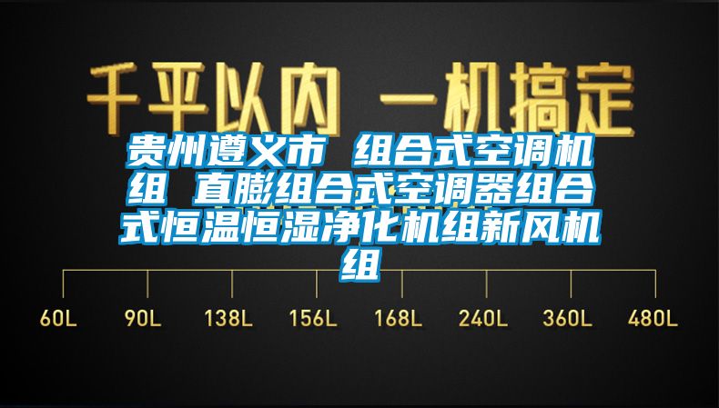貴州遵義市 組合式空調(diào)機組 直膨組合式空調(diào)器組合式恒溫恒濕凈化機組新風機組