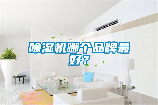 除濕機哪個品牌最好？