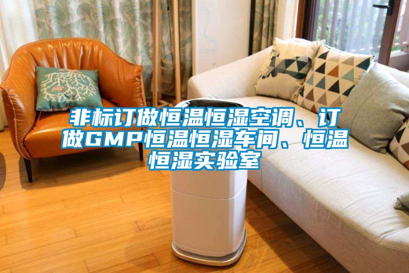 非標訂做恒溫恒濕空調、訂做GMP恒溫恒濕車間、恒溫恒濕實驗室