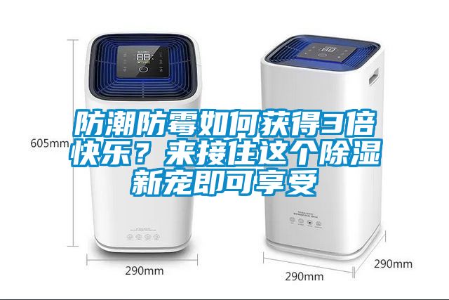 防潮防霉如何獲得3倍快樂(lè)？來(lái)接住這個(gè)除濕新寵即可享受