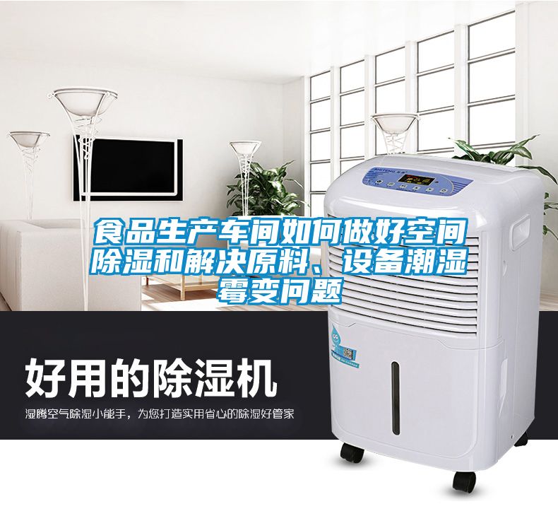 食品生產(chǎn)車間如何做好空間除濕和解決原料、設備潮濕霉變問題