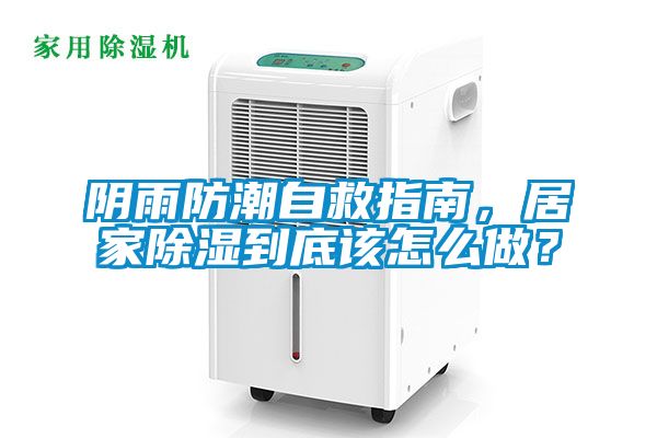 陰雨防潮自救指南，居家除濕到底該怎么做？