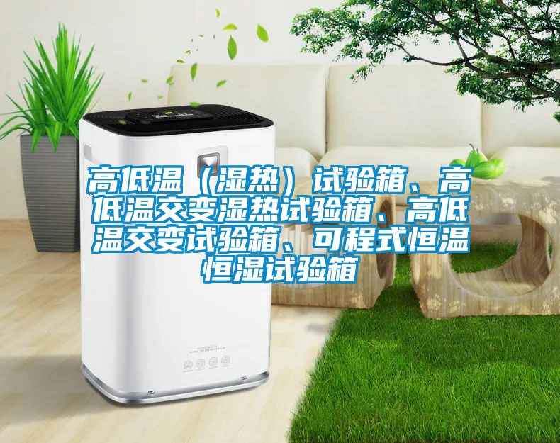 高低溫（濕熱）試驗箱、高低溫交變濕熱試驗箱、高低溫交變試驗箱、可程式恒溫恒濕試驗箱