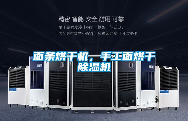 面條烘干機(jī)，手工面烘干除濕機(jī)