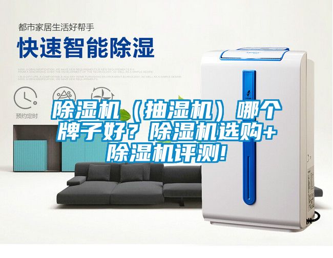 除濕機(jī)（抽濕機(jī)）哪個(gè)牌子好？除濕機(jī)選購+除濕機(jī)評(píng)測!