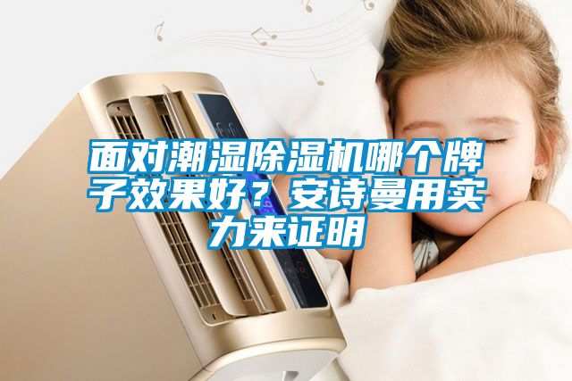 面對潮濕除濕機哪個牌子效果好？安詩曼用實力來證明