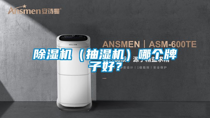 除濕機（抽濕機）哪個牌子好？