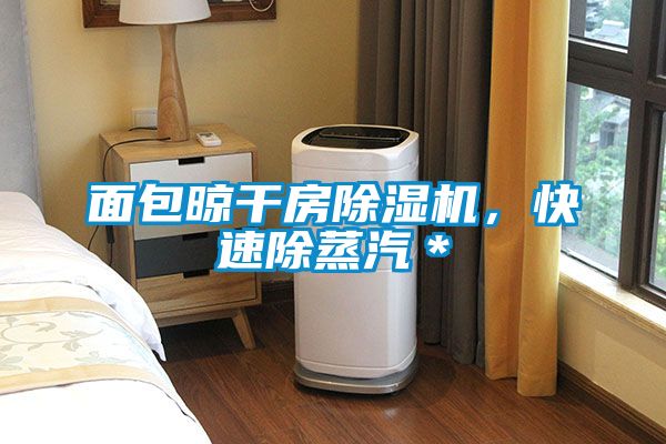 面包晾干房除濕機(jī)，快速除蒸汽＊