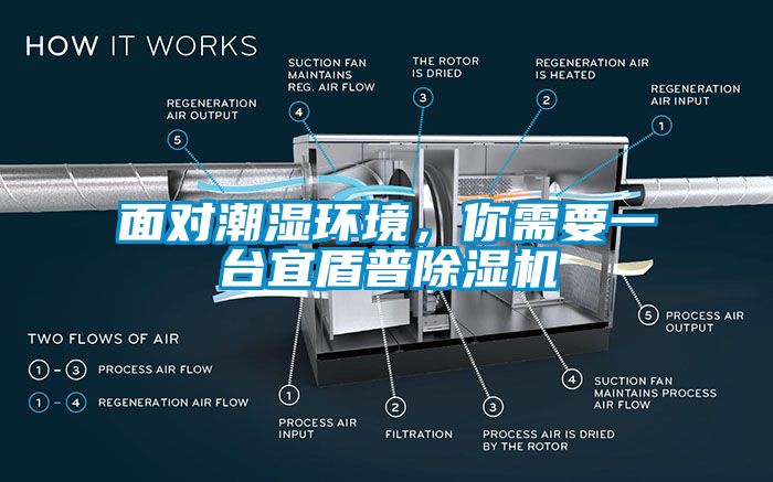 面對(duì)潮濕環(huán)境，你需要一臺(tái)宜盾普除濕機(jī)