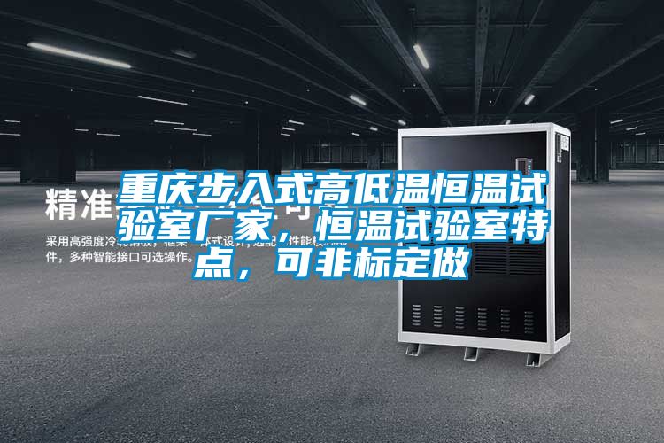 重慶步入式高低溫恒溫試驗室廠家，恒溫試驗室特點，可非標定做