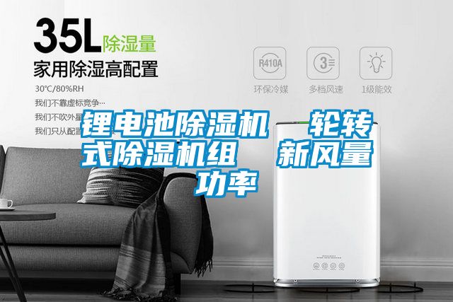 鋰電池除濕機  輪轉(zhuǎn)式除濕機組  新風量功率