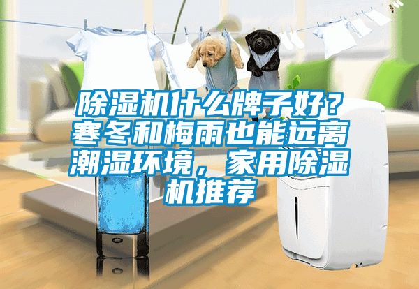 除濕機什么牌子好？寒冬和梅雨也能遠(yuǎn)離潮濕環(huán)境，家用除濕機推薦