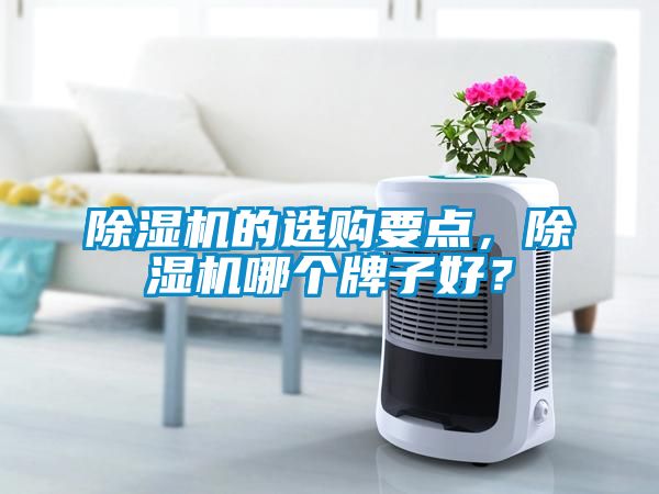 除濕機(jī)的選購(gòu)要點(diǎn)，除濕機(jī)哪個(gè)牌子好？