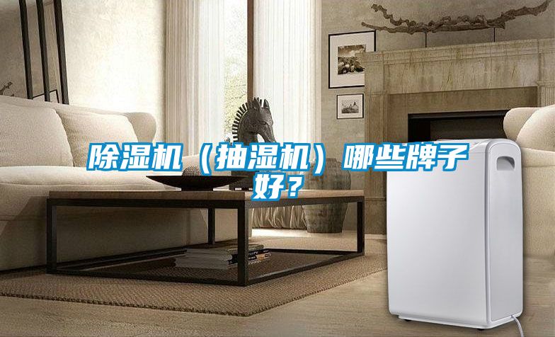 除濕機(jī)（抽濕機(jī)）哪些牌子好？