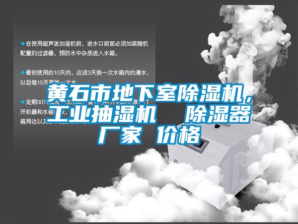 黃石市地下室除濕機，工業(yè)抽濕機  除濕器廠家 價格