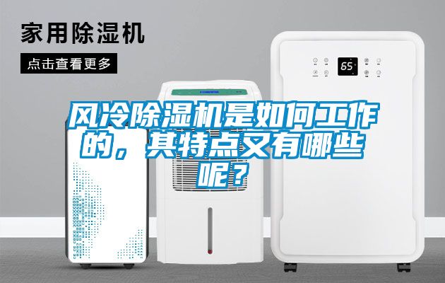 風(fēng)冷除濕機(jī)是如何工作的，其特點(diǎn)又有哪些呢？
