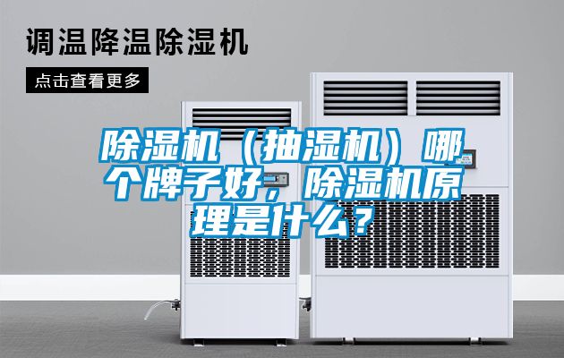 除濕機（抽濕機）哪個牌子好，除濕機原理是什么？