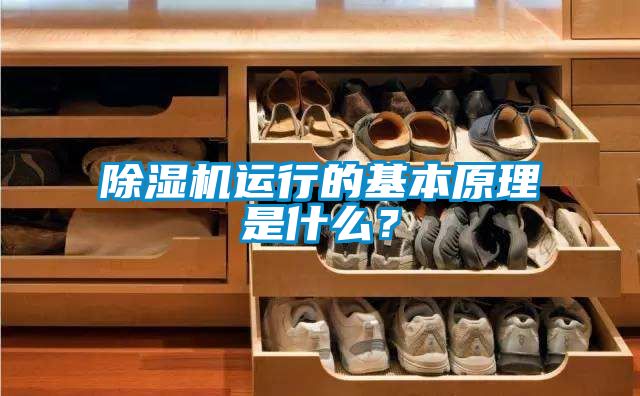 除濕機(jī)運(yùn)行的基本原理是什么？