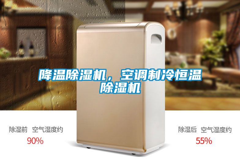 降溫除濕機(jī)，空調(diào)制冷恒溫除濕機(jī)