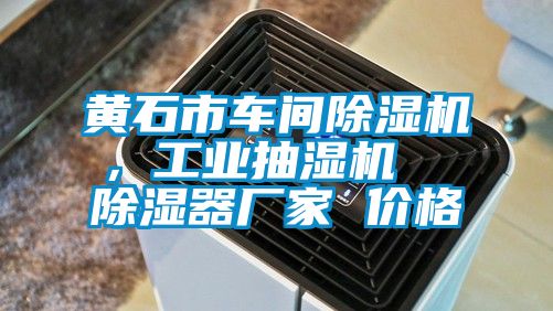 黃石市車(chē)間除濕機(jī)，工業(yè)抽濕機(jī)  除濕器廠家 價(jià)格